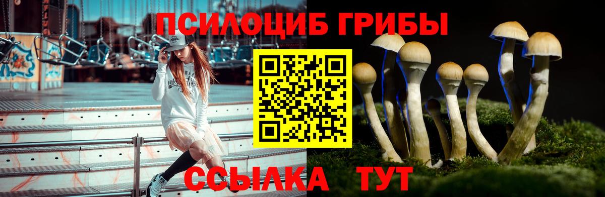 Осинники  Псилоцибиновые грибы Magic Shrooms  Вход с VPN 